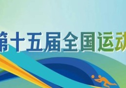 女排全运会2025年赛程表女排全运会资格赛第四轮战况 积分排名与技术统计 第五轮赛程提前预告