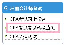 注册会计师考试查询,注册会计师考试科目详解与备考策略