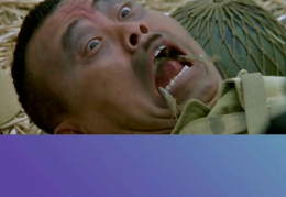 搞笑啦,趣味横生的日常趣事集锦