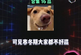 吃瓜八卦娱乐群,吃瓜八卦群背后的秘密与真相