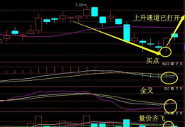 十五个龙头股票一览表最新走势,涨跌起伏，市场风向标解析”
